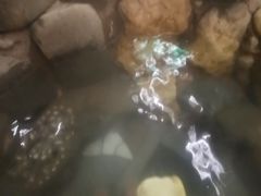 -咸宁万豪温泉谷度假区