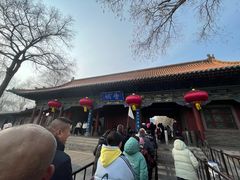 -晋祠公园