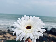 -西秀海滩公园