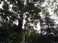 -白鹭湾湿地公园