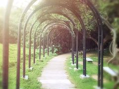 -四海公园(南山区)