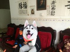 -长寿村