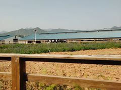-君乐宝优致牧场