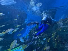 -海合安成都极地海洋公园