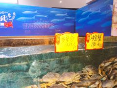 -小贝壳酒楼(经九路店)