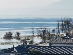-啊马英豌豆粉