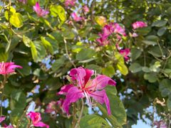 -VENCHI 闻绮(北京国贸商城店)