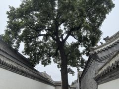 -保定直隶总督署博物馆
