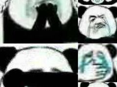 -千岛湖白云溪漂流