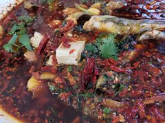 -胖大姐黄辣丁鱼庄(新津店)