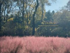 -沈阳植物园