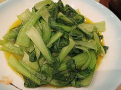 小青菜-城北食府(枫林店)