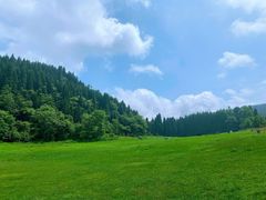 -武陵山森林公园