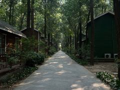 -林栖谷森林康养度假区