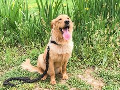 -桤木河湿地公园