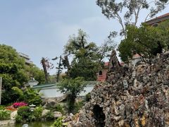 -八婆婆烧仙草(中山路店)