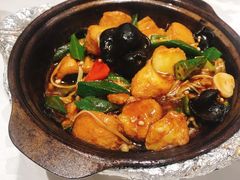 酱烧日本豆腐-金蝉食府(维吉奥广场店)