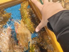-隐厨·海鲜餐厅(恒通路店)