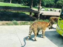 -西安秦岭野生动物园