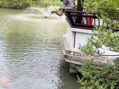 -上海醉白池公园