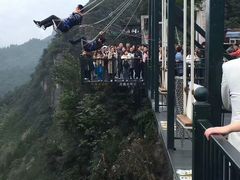 -梦幻奥陶纪景区