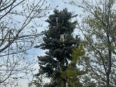 -杭州半山国家森林公园