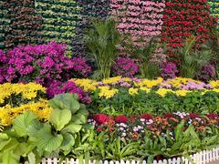 -石家庄市植物园