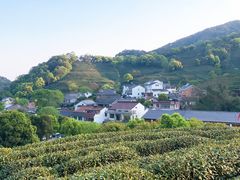 -龙井壹号·茶缘山景宴(龙井村店)