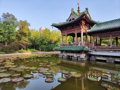 -迎泽公园