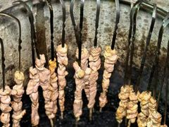 -陈记农家挂炉烤肉(雁南一路店)