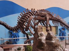 -陕西自然博物馆