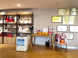 -海豚湾高端月子会所(黄浦店)