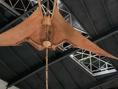 -湖南省地质博物馆