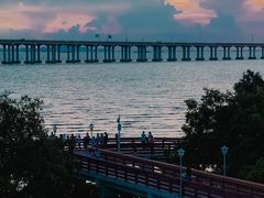 -宝安西湾红树林湿地公园