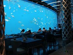 -瑞德姆美人鱼海底演艺主题餐厅(亚龙湾店)