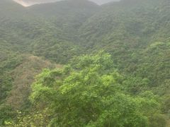 -梧桐山风景名胜区