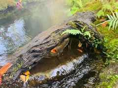 -Chom Cafe and Restaurant