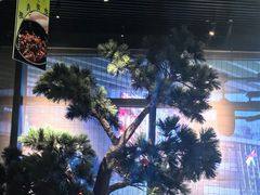 -绿茶餐厅(成都大悦城店)