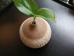 android_upload_pic-王家渡火锅店(棕榈泉店)