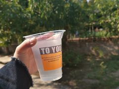 -西双版纳傣族园