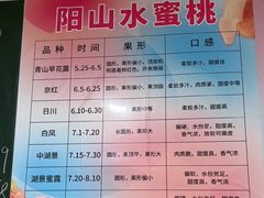 -老袁家蜜桃农场·阳山水蜜桃