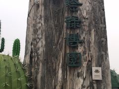 -南通洲际绿博园