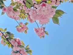 -东方体育中心(地铁站)