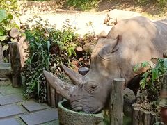 -普洱太阳河森林公园