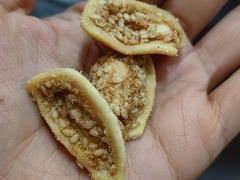 -美心红酒小镇游乐园