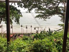 -卷心菜和避孕套餐厅(Pattaya)