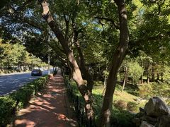 -八大关景区