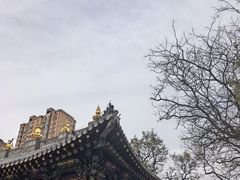 -护国法轮寺