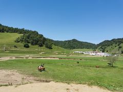 -关山草原