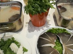 -清真军邺·金富苑肥牛城(海湖新区精品店)